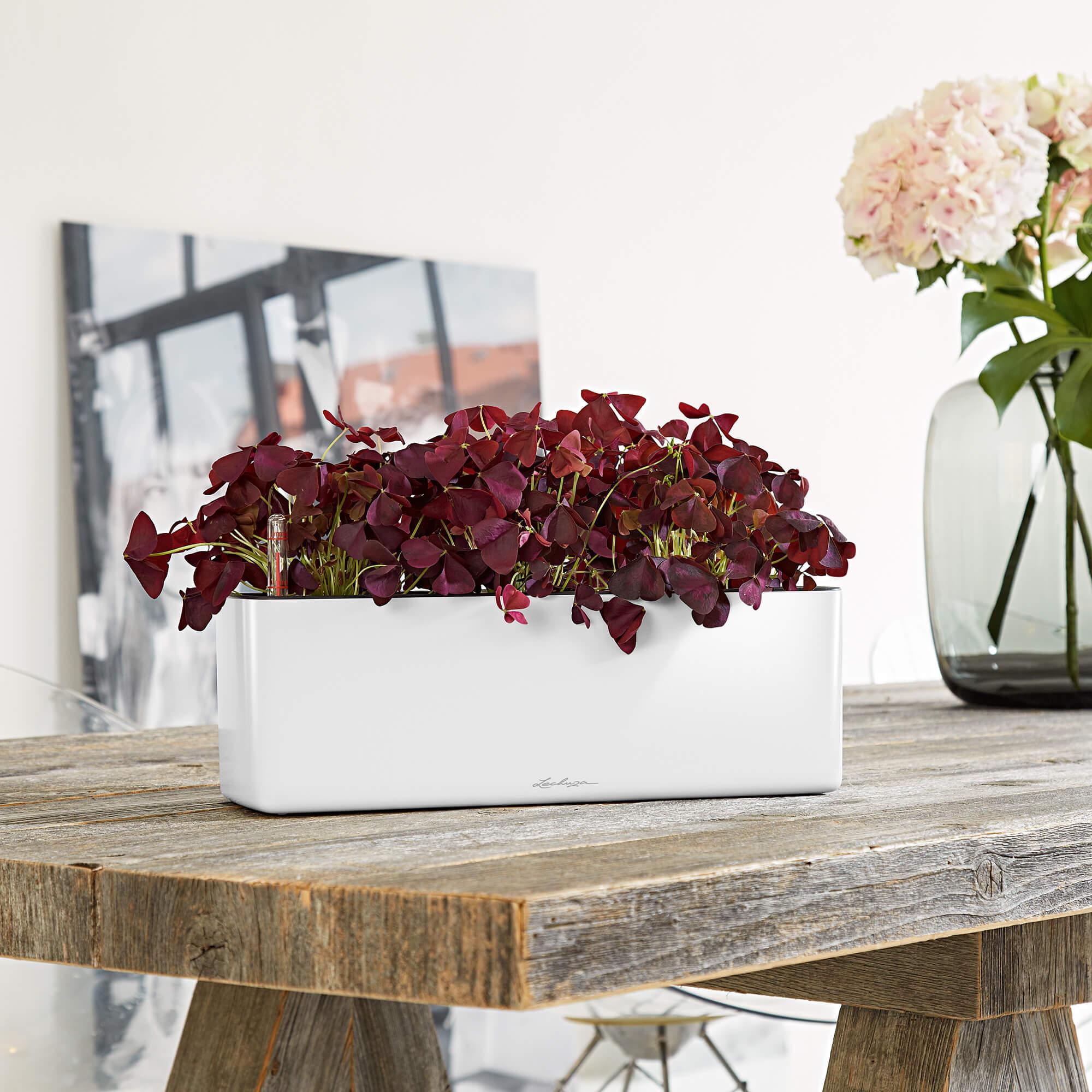 LECHUZA planter CUBE Glossy Triple charcoal, 40x14x14cm